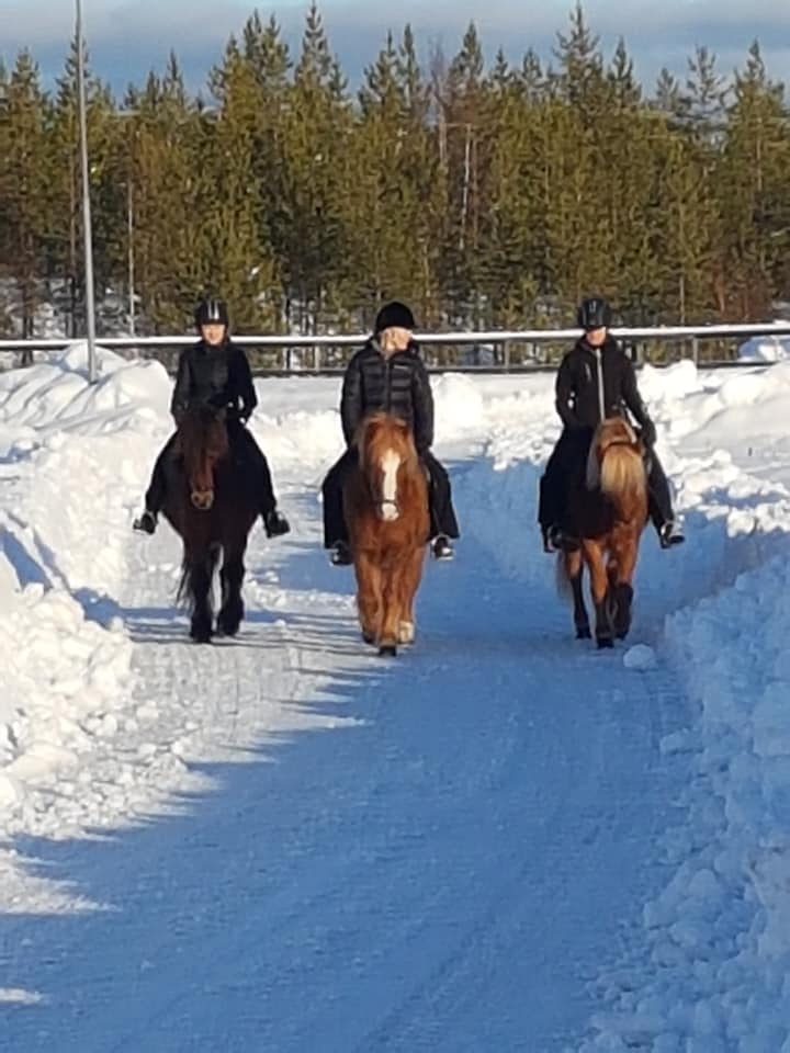 Turridning Malung Sälen kommun, dalarna