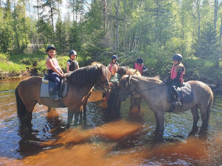 Turridning Malung Sälen kommun, dalarna