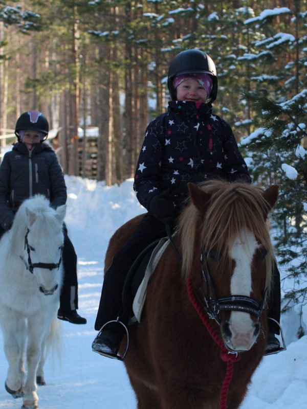 Turridning Malung Sälen kommun, dalarna