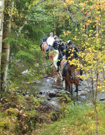 Turridning Malung Sälen kommun, dalarna